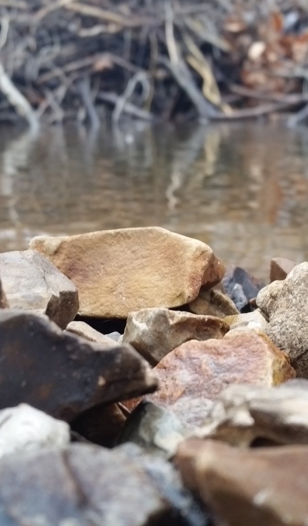 Камни на берегу реки