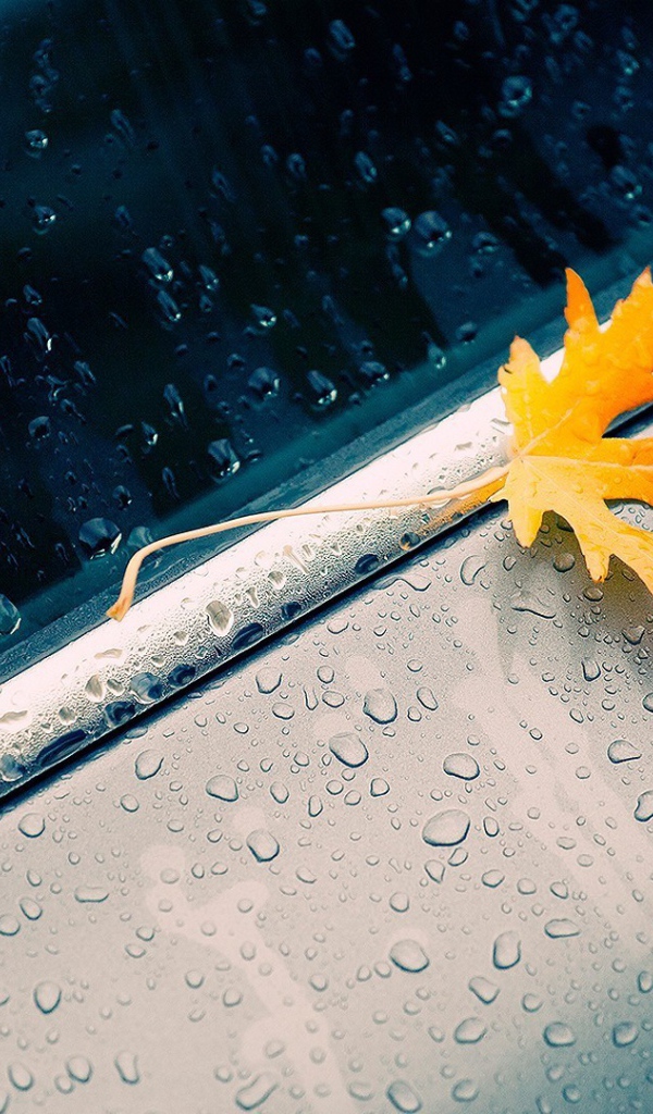 Желтый листик на окне во время дождя