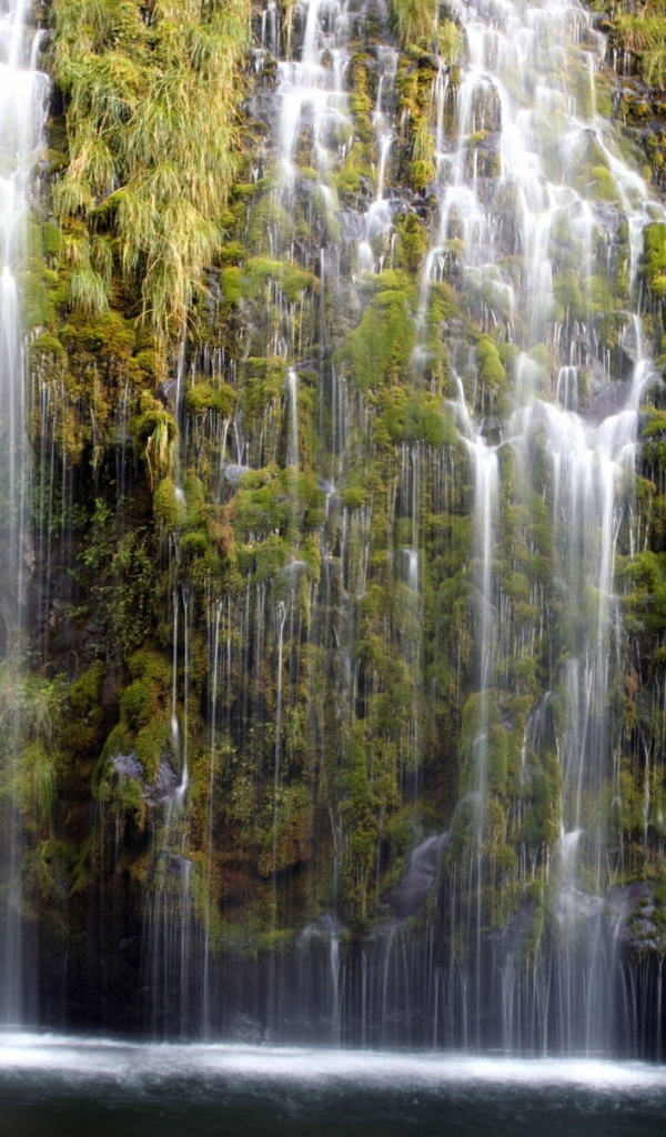 Водопад по зеленым зарослям