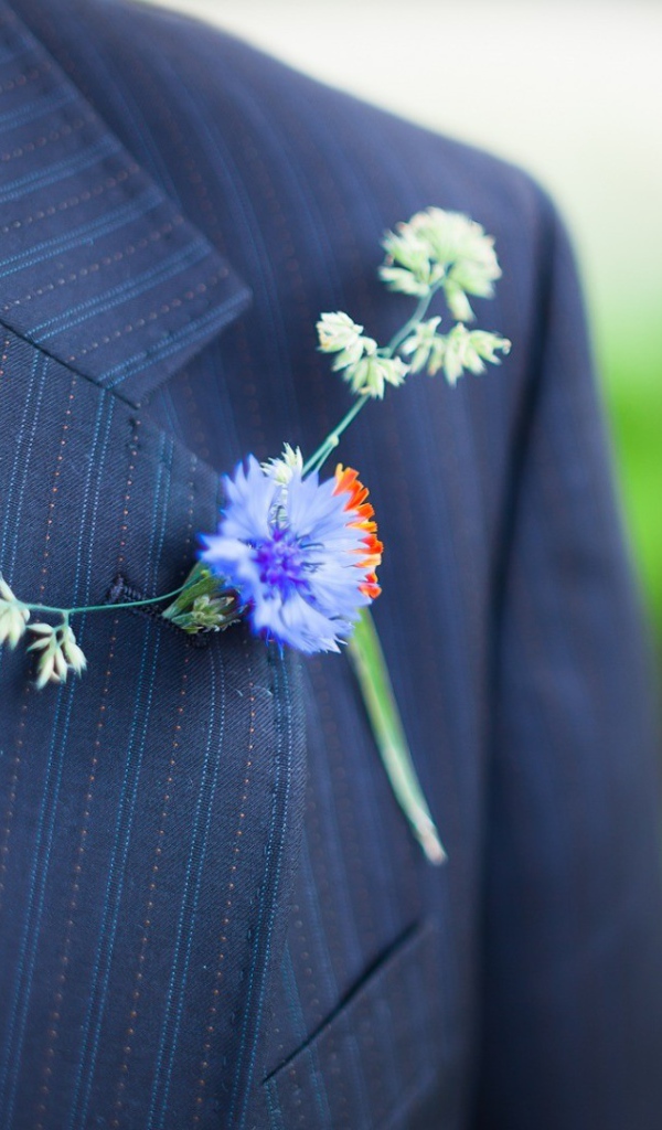 Полевой цветок в петлице пиджака