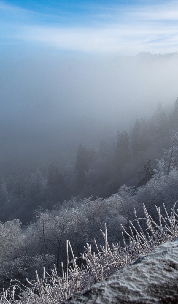 Туман среди холмов в морозное утро