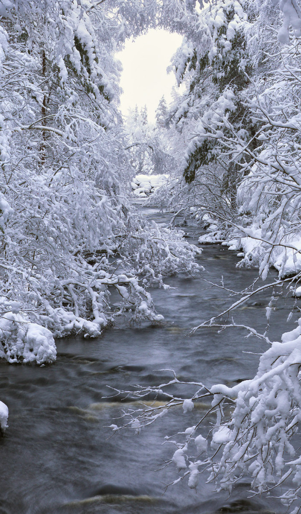 Снежная зима в Швеции