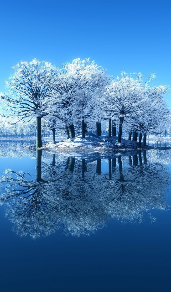 Деревья, покрытые инеем на островке среди озера