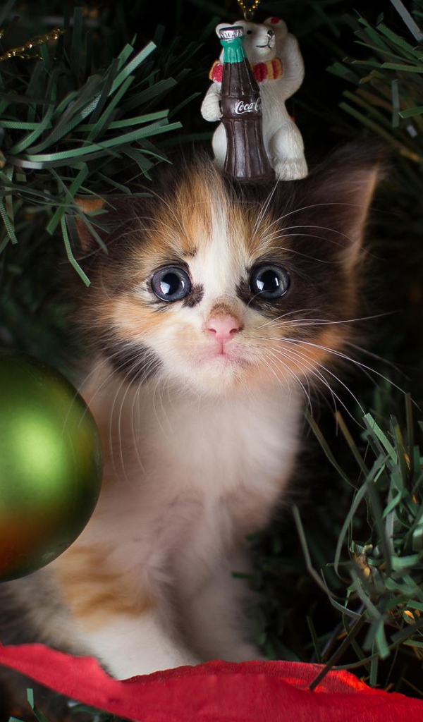 Маленький милый котенок сидит на нарядной елке на новый год