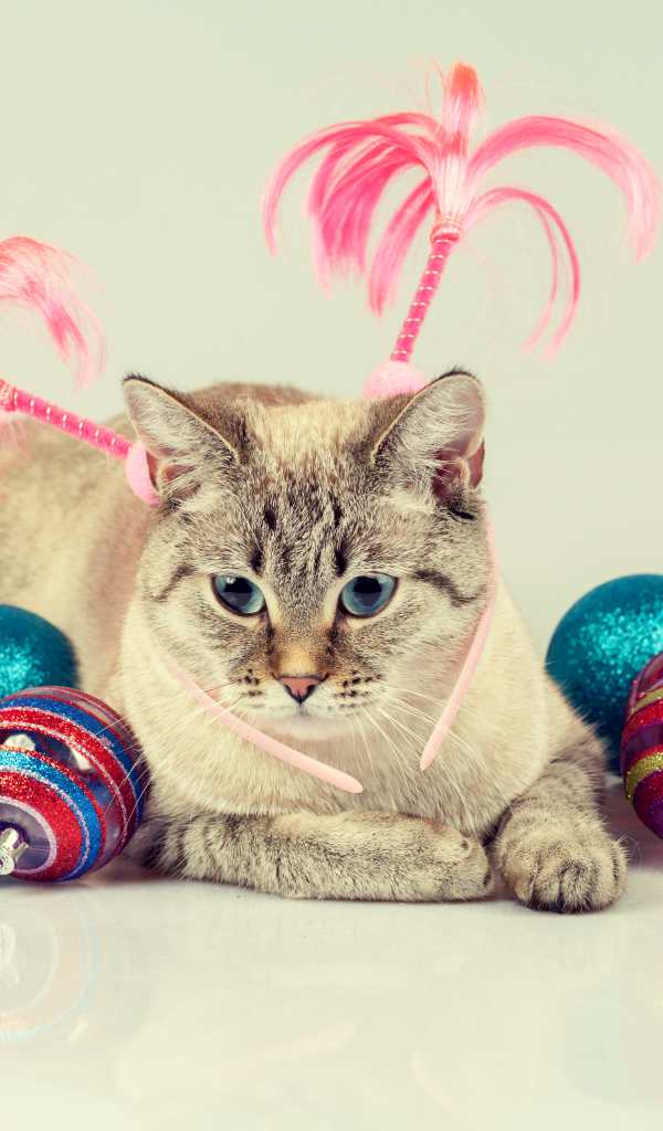 Серый кот с красивыми разноцветными новогодними шариками