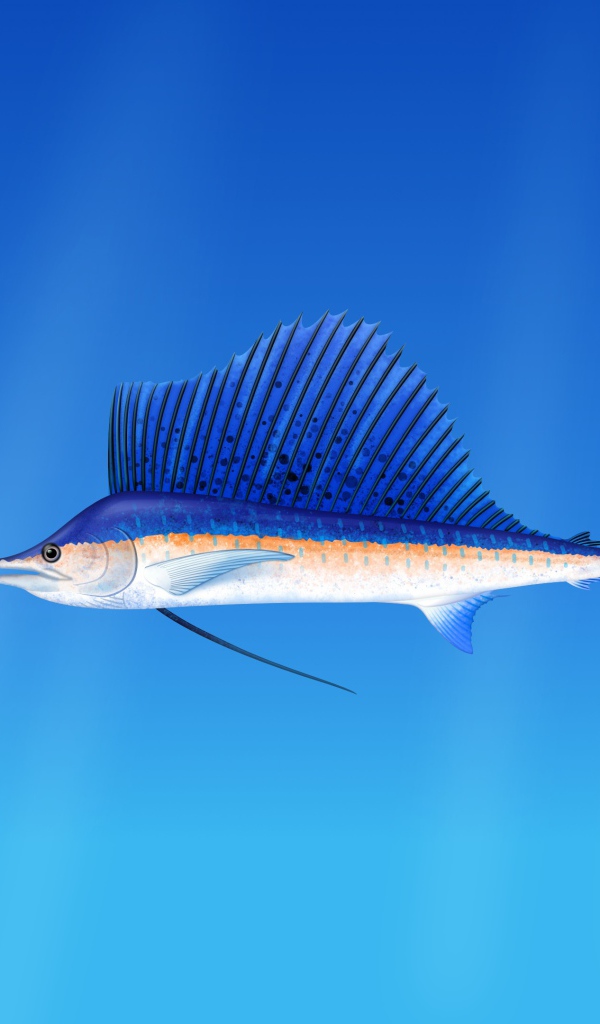 Морская  рыба марлин  на голубом фоне 