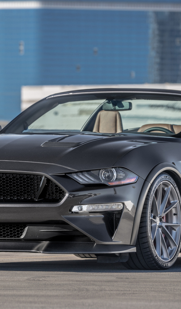 Серебристый быстрый автомобиль  Ford Mustang GT, 2018