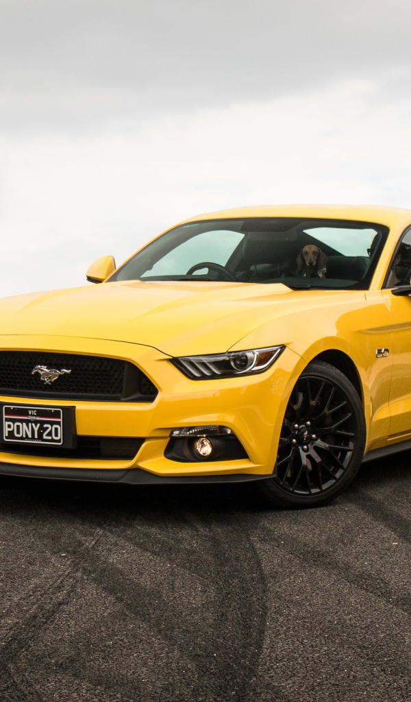 Спортивный желтый автомобиль Ford Mustang на трассе
