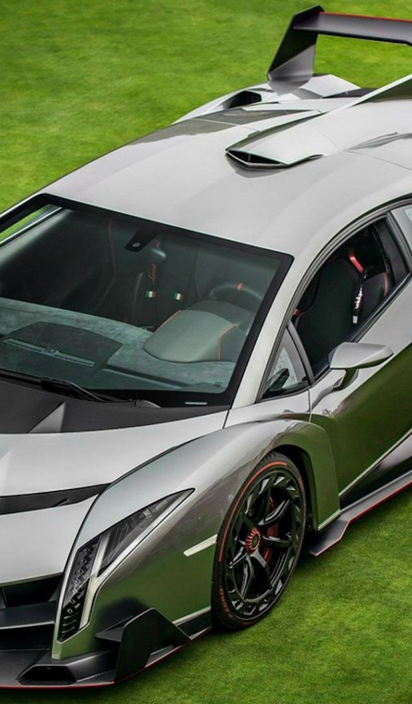 Серебристый спорткар Lamborghini Veneno на зеленом газоне 