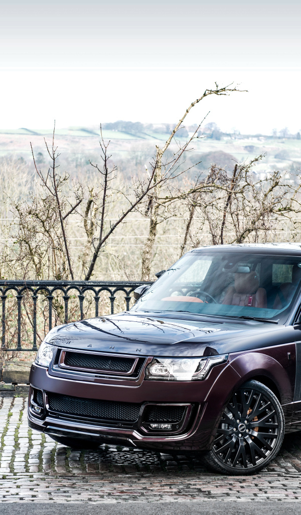 Внедорожник Range Rover цвет бордовый металлик