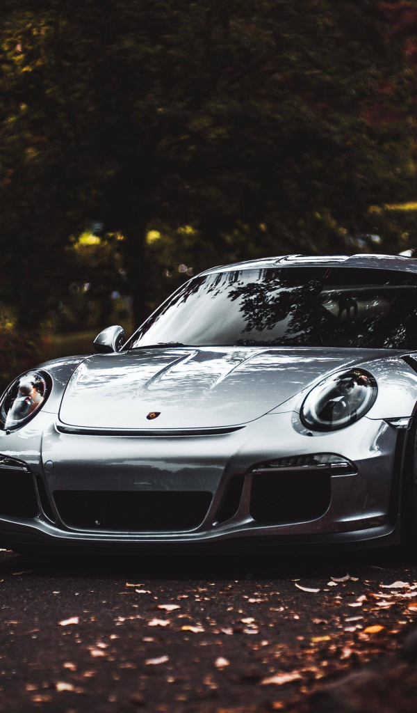Серебристый автомобиль Porsche 911 Carrera S 
