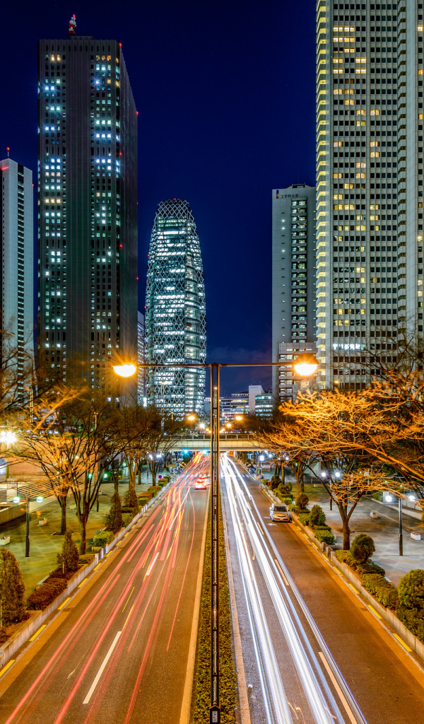 Ночной яркий город Токио 