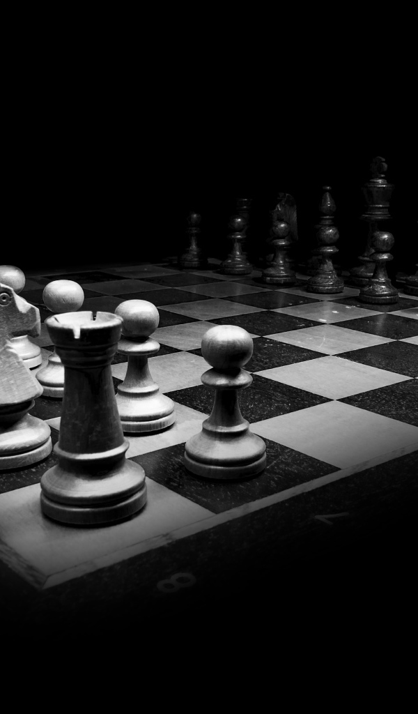 Шахматная доска с фигурами черно-белое фото