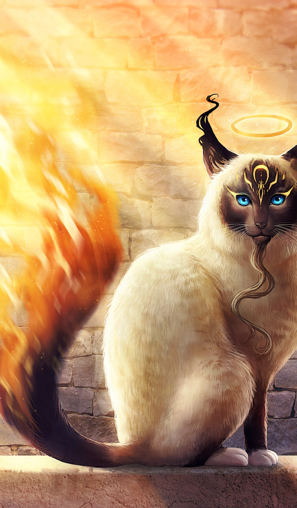 Магический кот с огненным хвостом, фэнтези