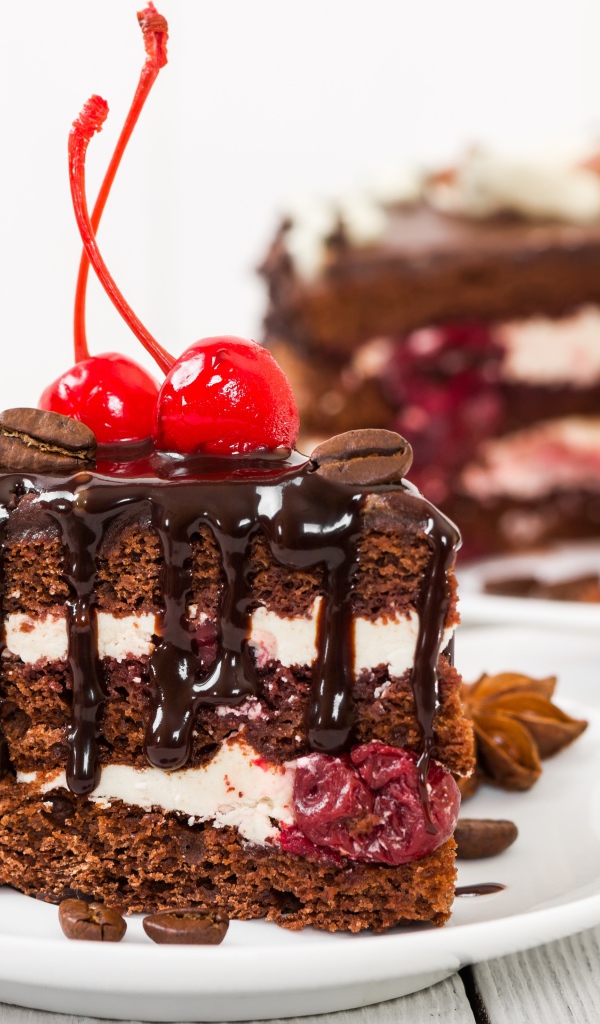 Вкусный кусок торта с шоколадом и вишнями