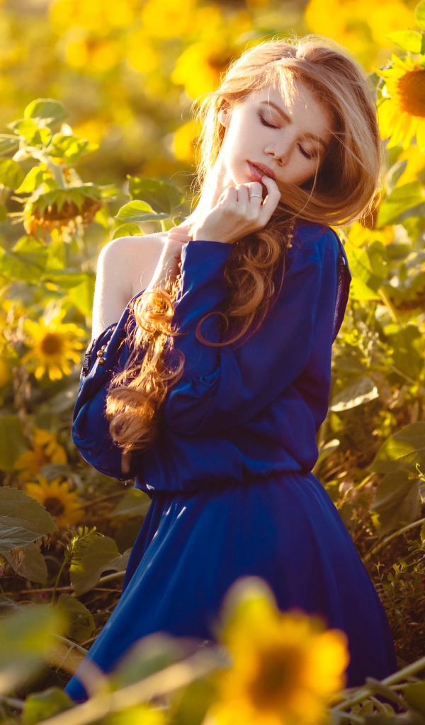Красивая девушка в голубом платье в поле подсолнухов 