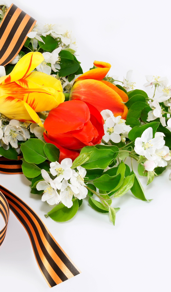 Цветы и георгиевская ленточка на 9 мая на белом фоне 