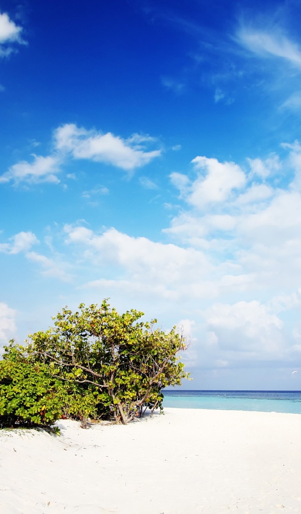 Тропический атолл на фоне голубого неба