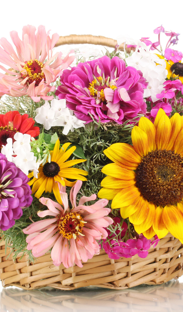 Bouquet of flowers of cinnamon, rudbeckia and sunflower in a basket on a white background