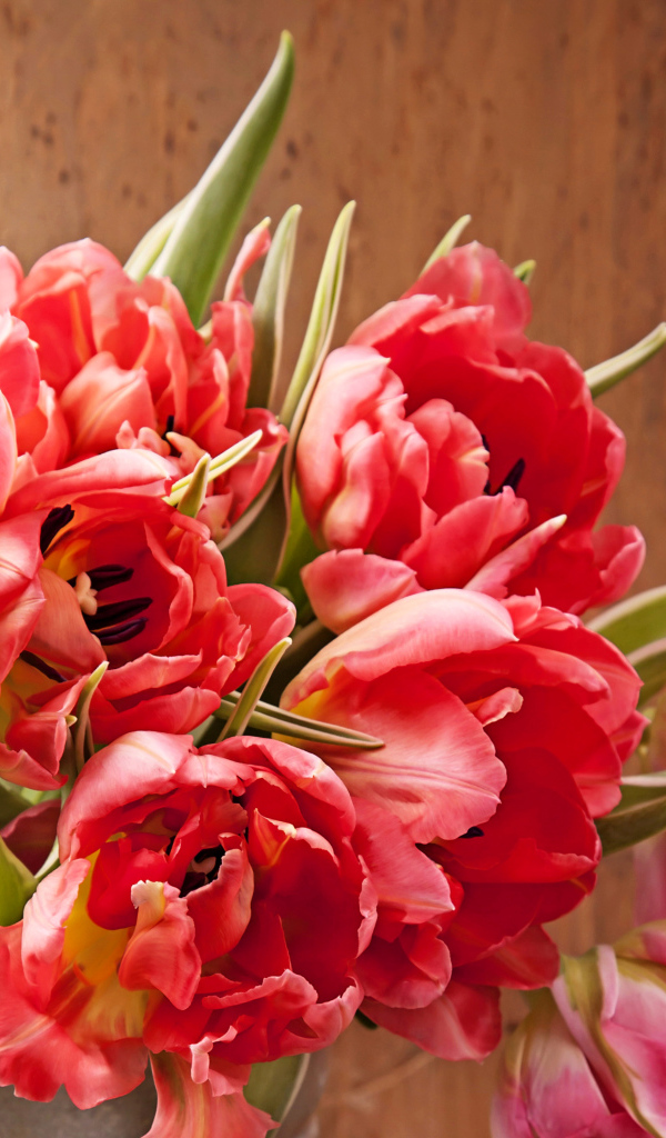 Розовые тюльпаны крупным планом в вазе