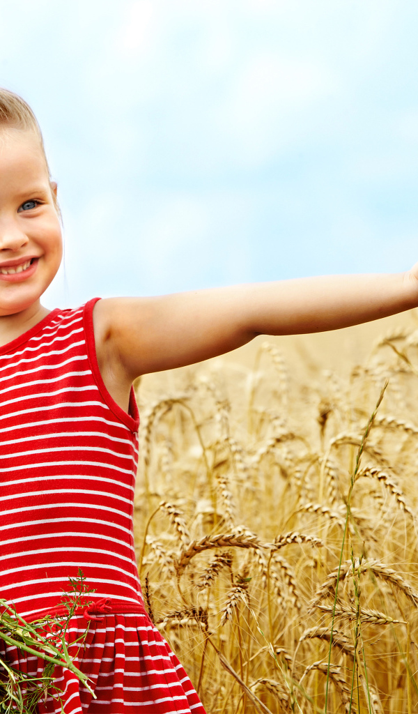 Маленькая девочка с букетом полевых цветов гуляет по полю пшеницы