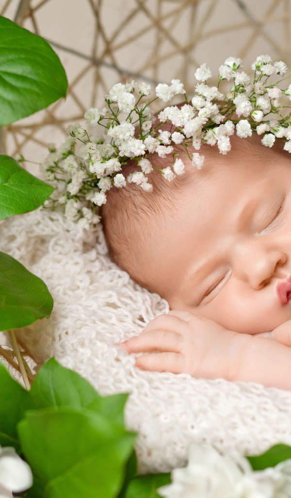 Милый маленький спящий младенец с белыми цветами на голове
