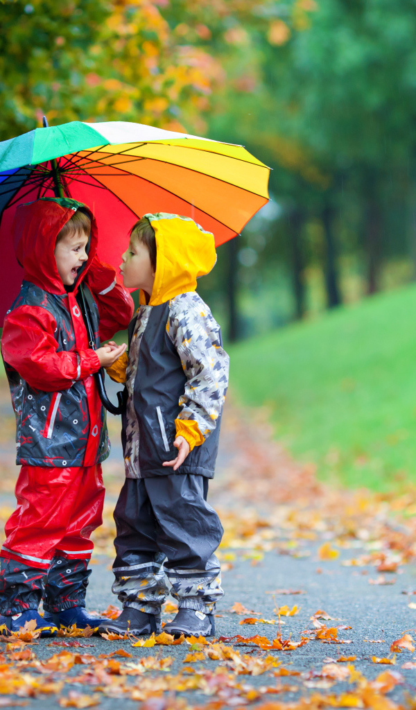 Два мальчика под разноцветным зонтом осенью