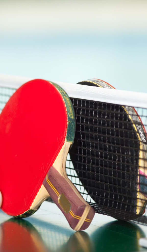 Ракетки для настольного тенниса у сетки  