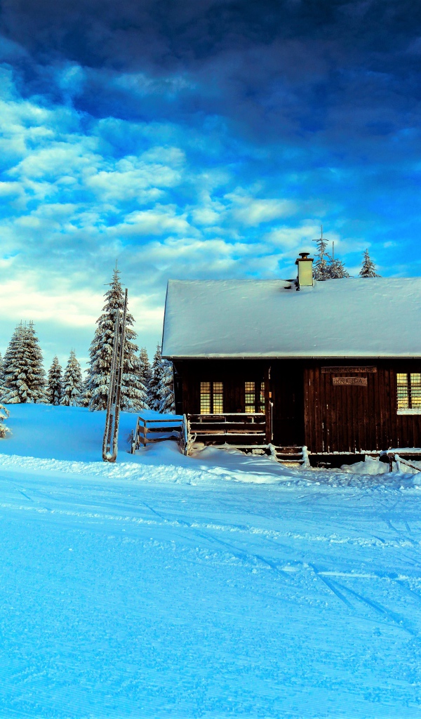 Дом в лесу у заснеженной дороги под красивым зимним небом