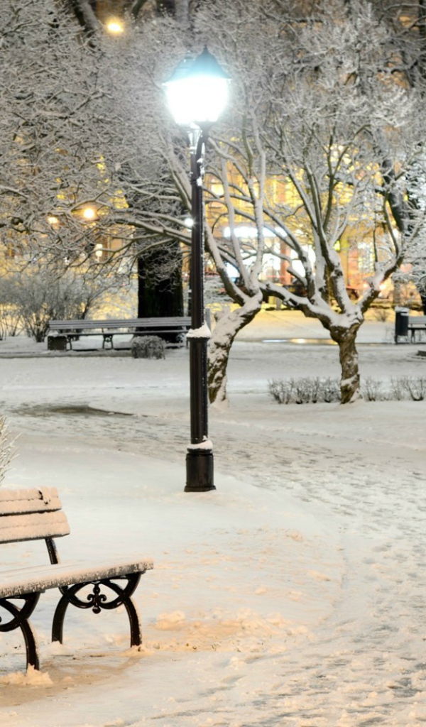 Заснеженная лавка в зимнем парке 