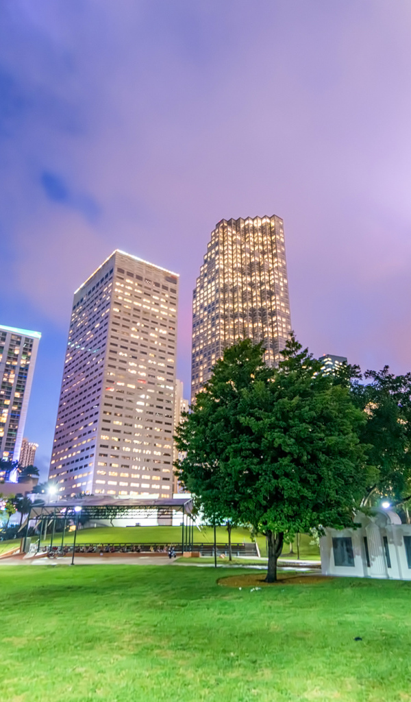 Вид на ночные небоскребы города Майами из городского парка, Флорида. США