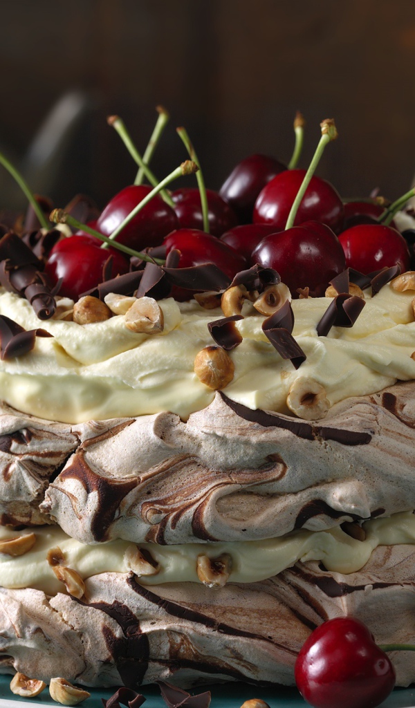 Красивый кремовый торт с шоколадом и ягодами черешни и орехами