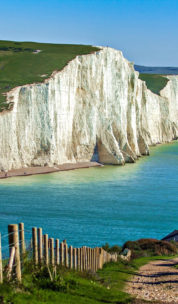 Скалы Белые клифы Дувра у моря под голубым небом, Англия