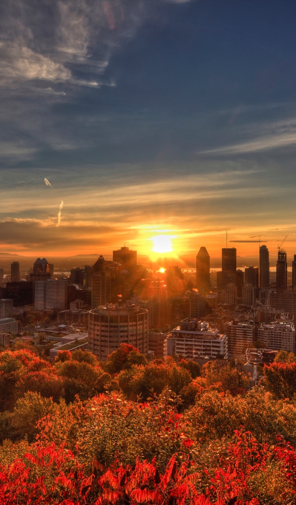 Sunrise over skyscrapers of Montreal, Canada