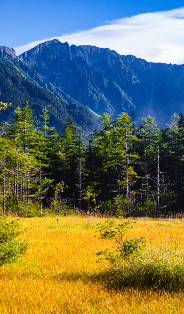 Вид на горы и лес под голубым небом, Япония