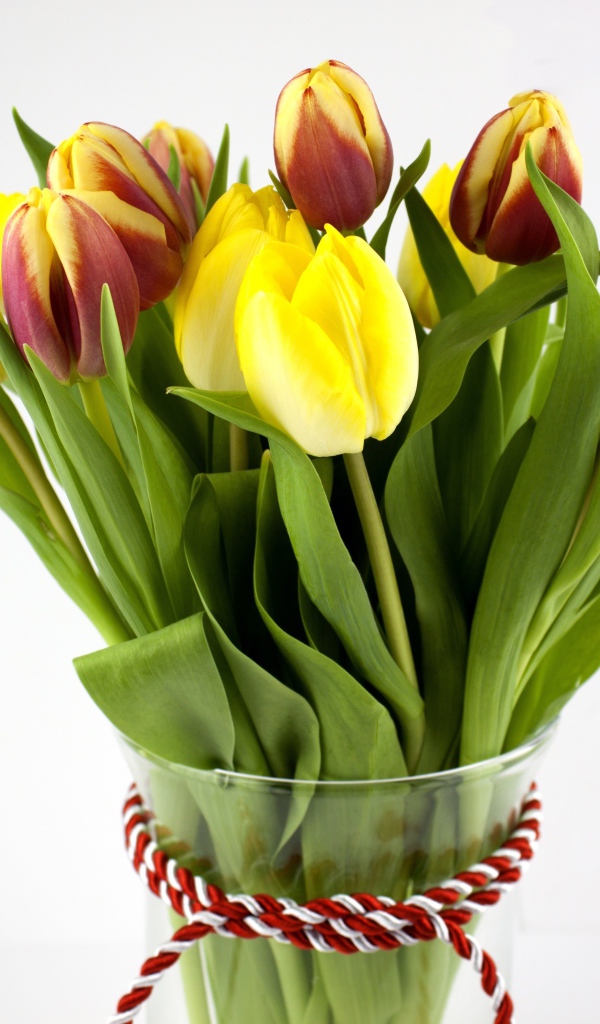 Букет желтых и красно-желтых тюльпанов на сером фоне