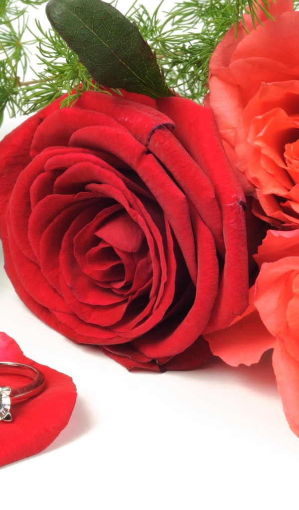 Три красных розы с красивым кольцом с бриллиантом