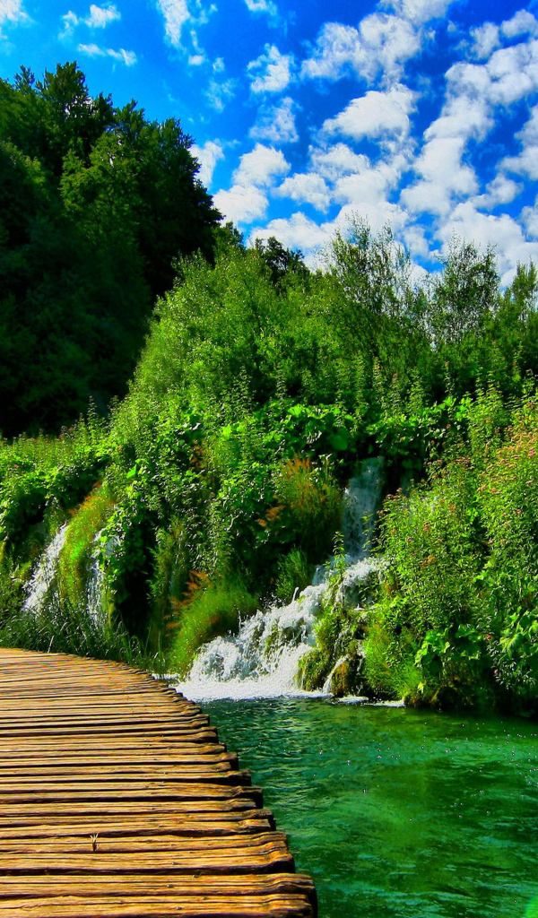 Деревянный мост в живописном зеленом лесу с водопадами