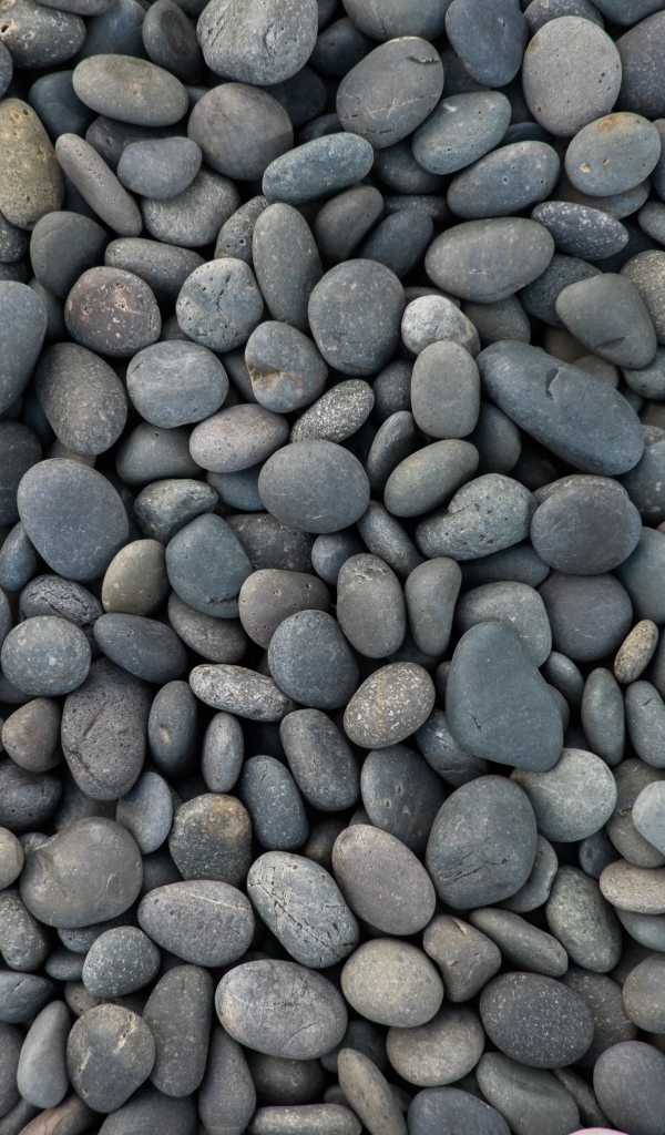 Мелкие серые морские камни 