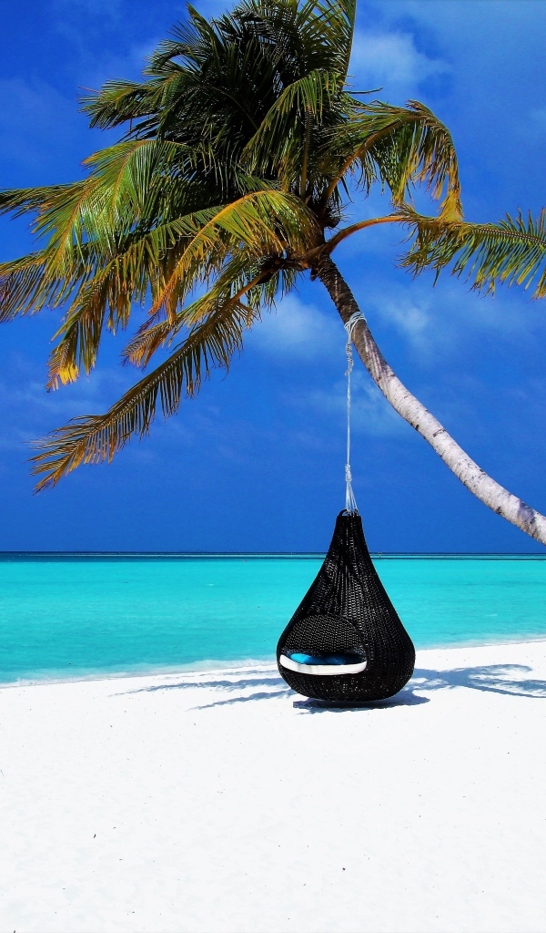 Черное подвесное кресло на пальме на тропическом пляже