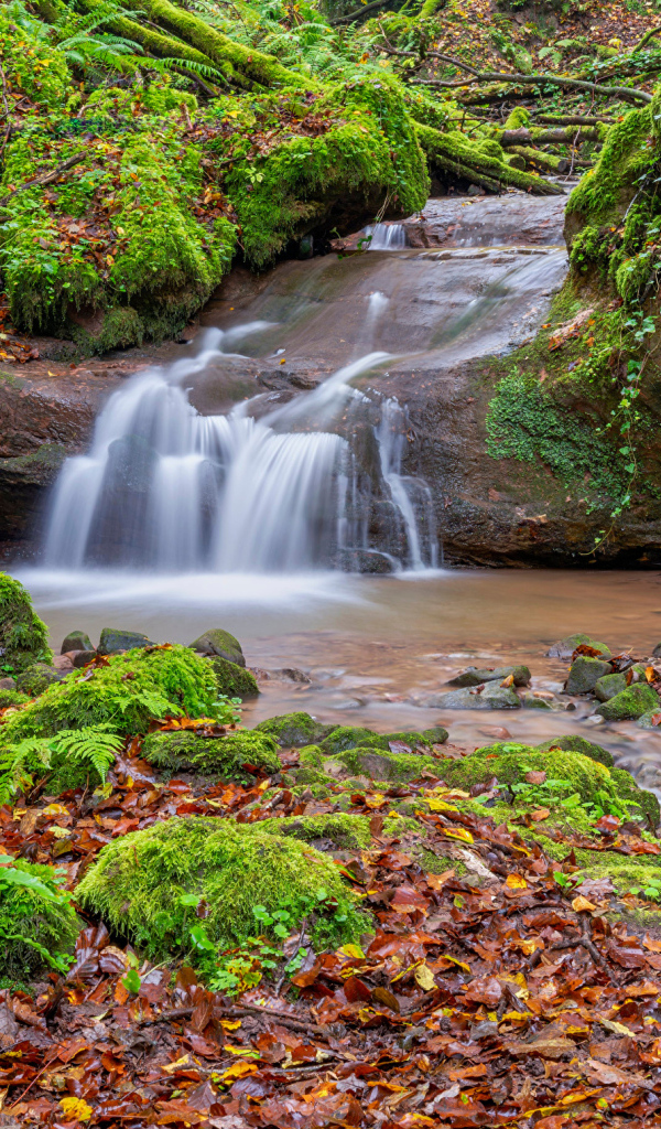 Маленький водопад в лесу с покрытыми мхом камнями
