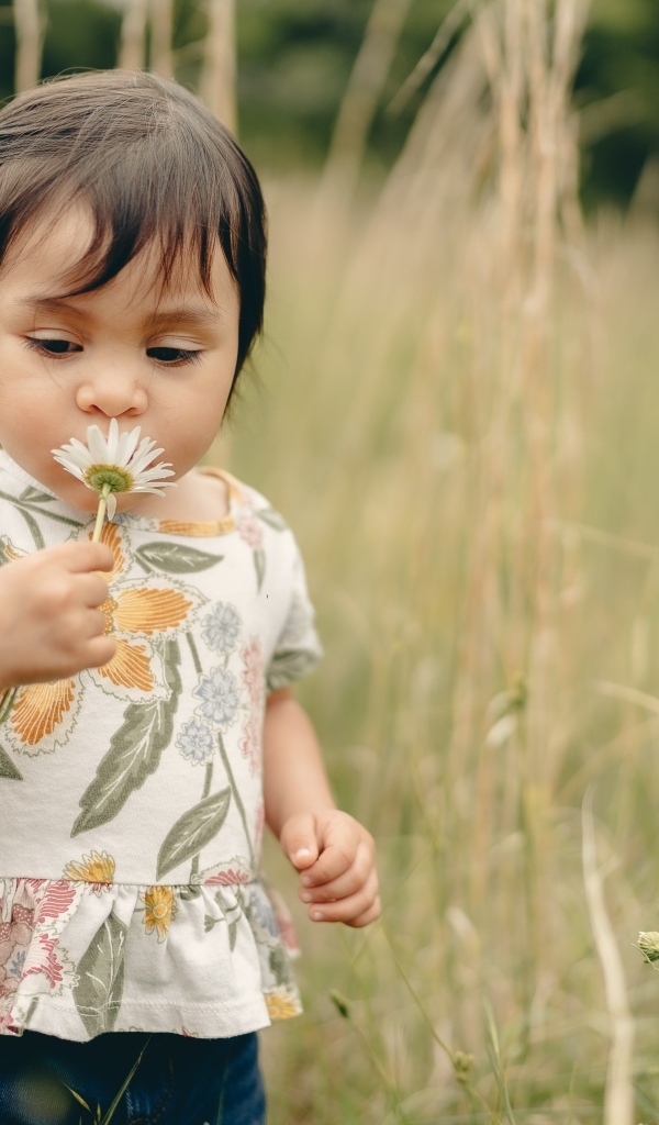 Маленькая девочка с ромашкой на поле