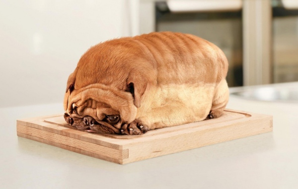 Дока Хлеб
