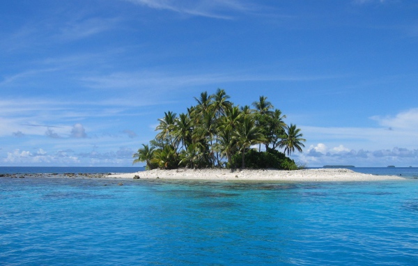 Island with trees