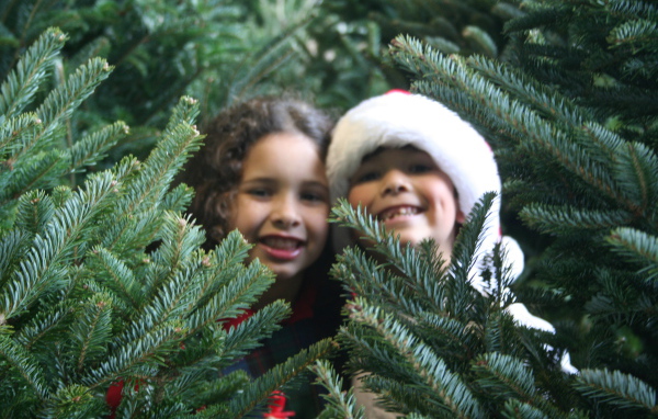 Дети у новогодней елки 2014