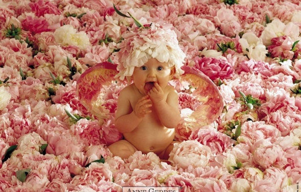 Ребенок с крыльями сидит в цветках