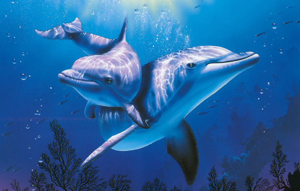 Дельфины в голубой воде
