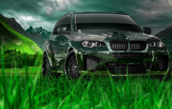 Дух свободы с BMW X5