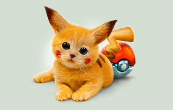 Рыжий котенок покемон