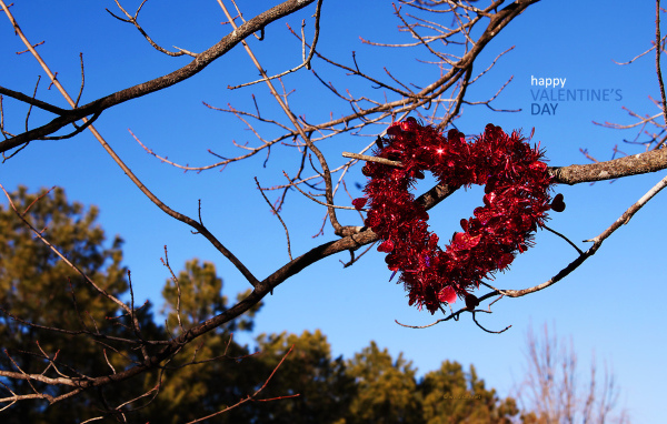Heart on the branches on Valentine's Day February 14